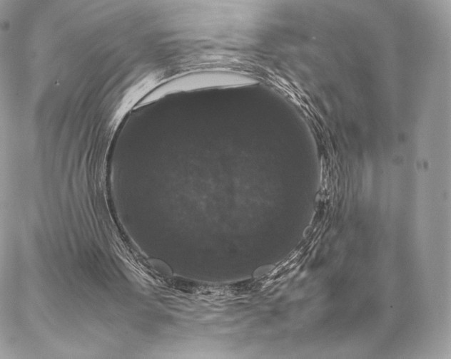 X0000087020099200704301324