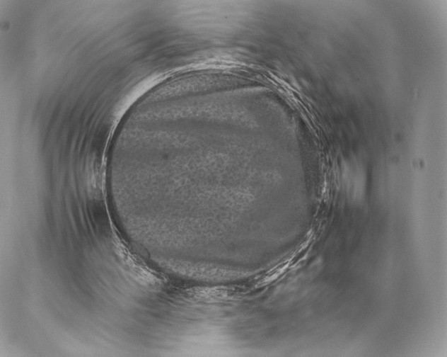 X0000087020100200704301324