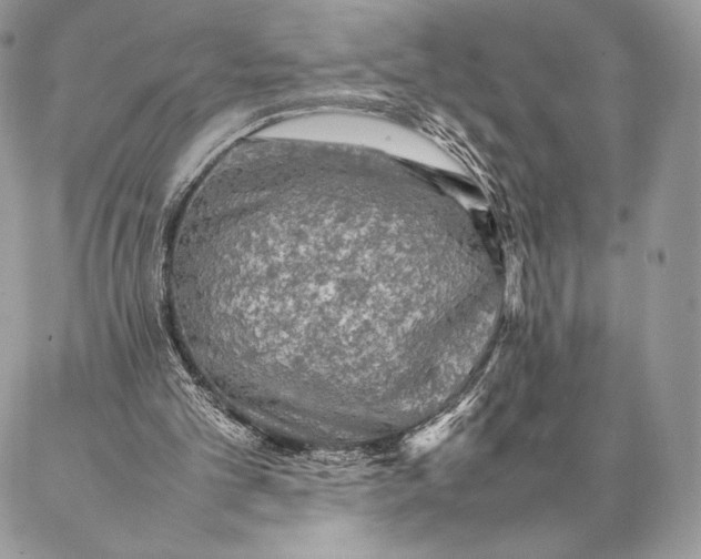 X0000087020101200704301324