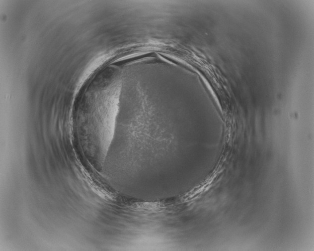 X0000087020102200704301324