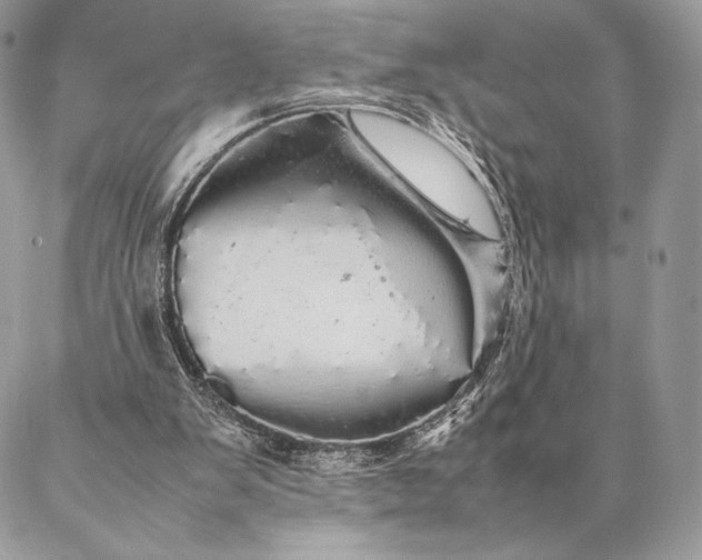 X0000087020103200704301324