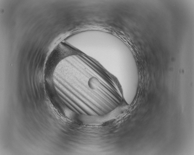 X0000087020104200704301324