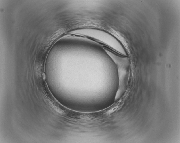 X0000087020105200704301324