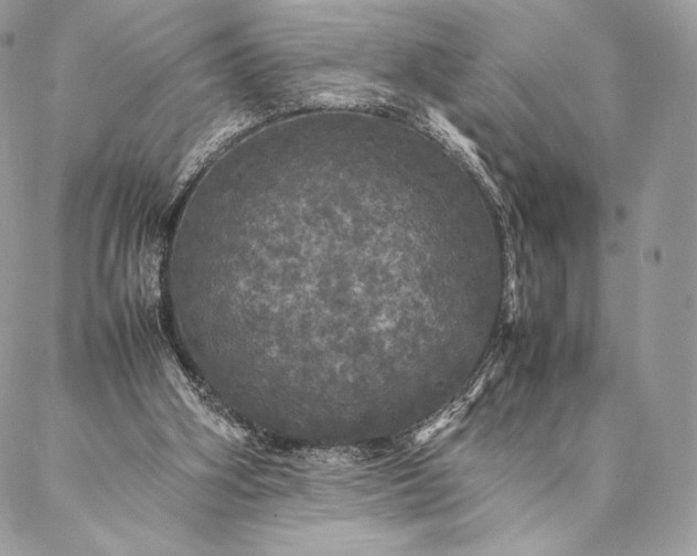 X0000087020106200704301324