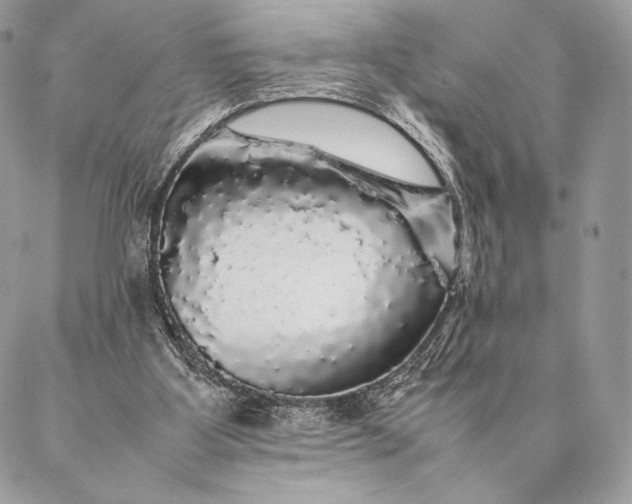 X0000087020107200704301324