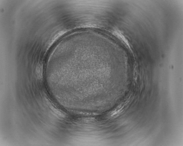 X0000087020108200704301324