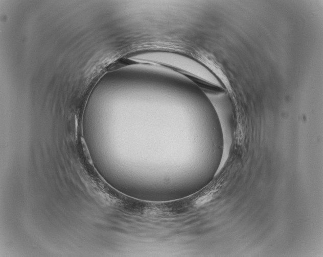 X0000087020109200704301324