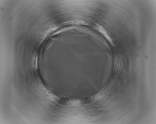 X0000087020110200704301324