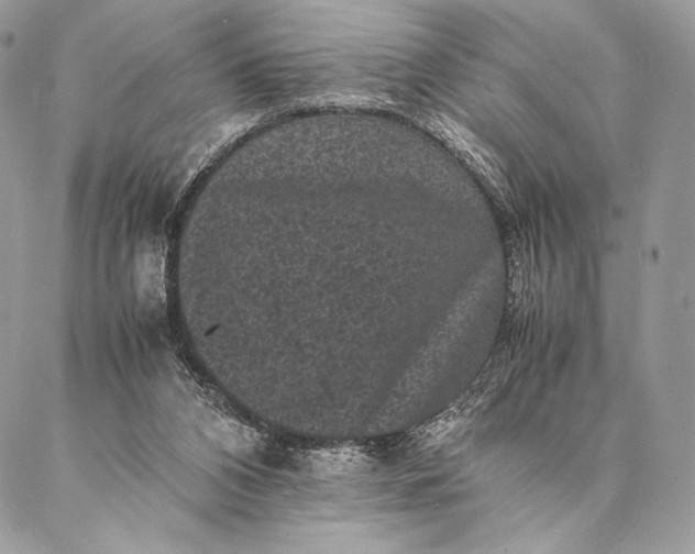 X0000087020112200704301324