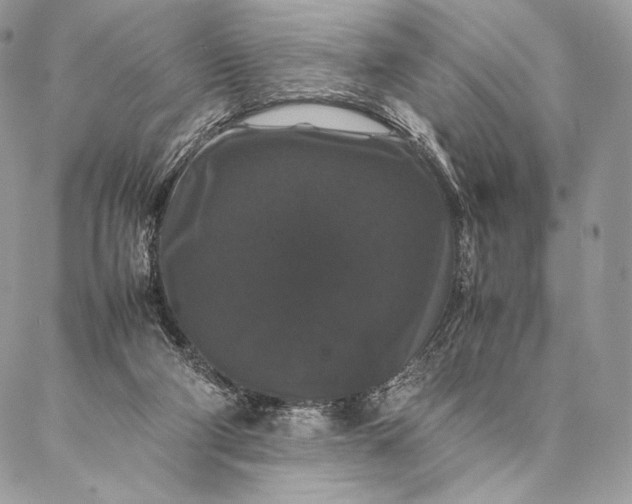 X0000087020114200704301324