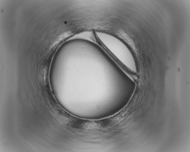 X0000087020115200704301324