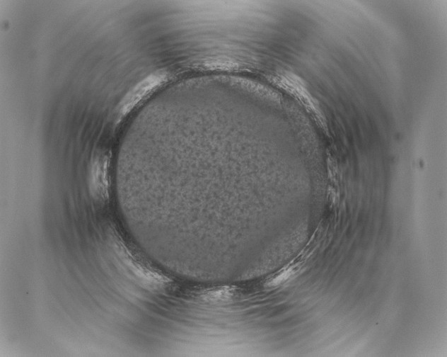 X0000087020116200704301324