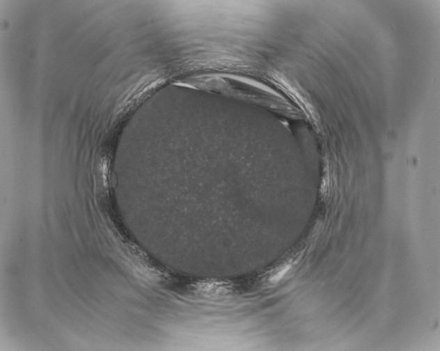 X0000087020117200704301324