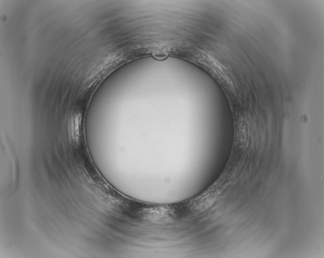 X0000087020118200704301324