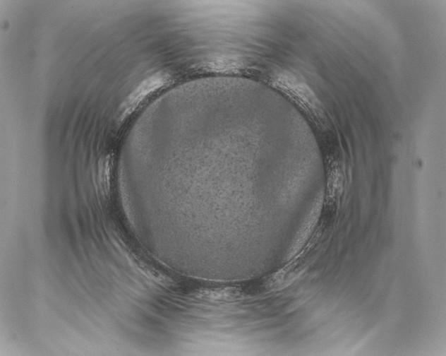 X0000087020120200704301324