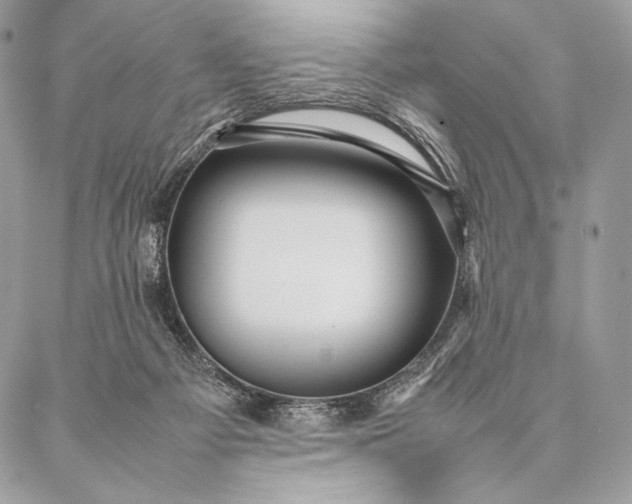 X0000087020121200704301324