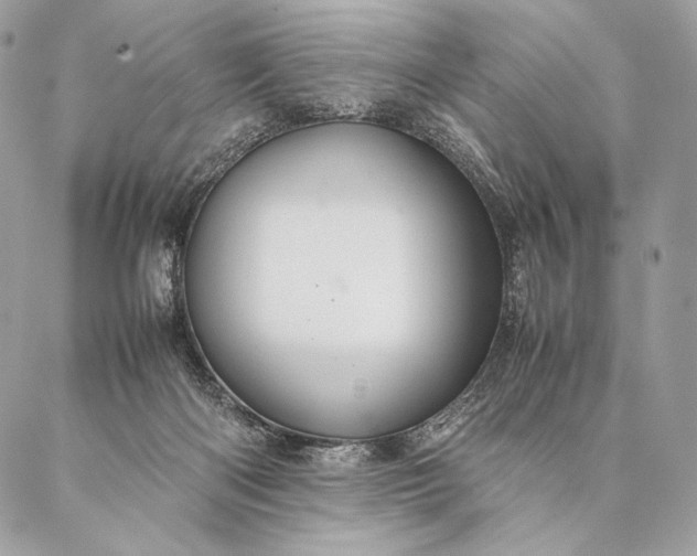 X0000087020122200704301324