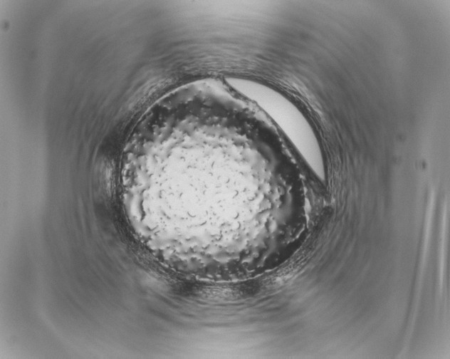 X0000087020123200704301324