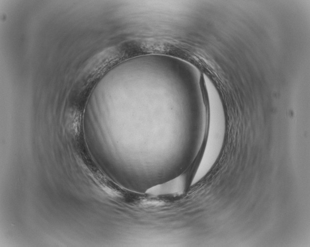 X0000087020125200704301324