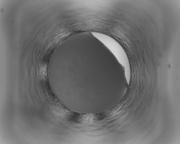 X0000087020127200704301324