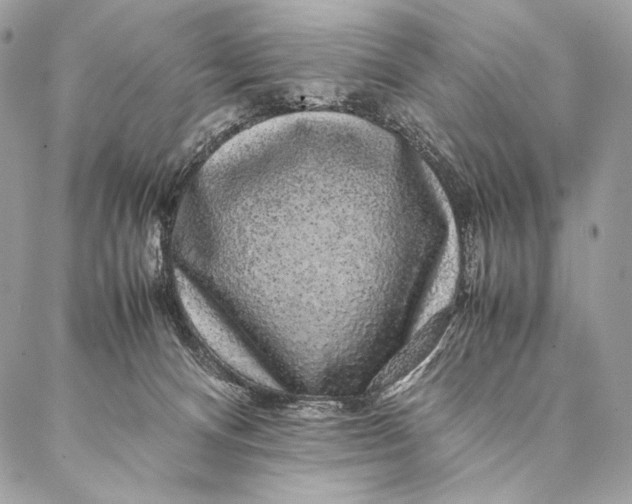 X0000087020128200704301324