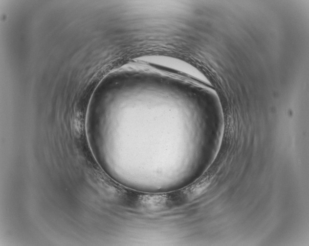 X0000087020135200704301324