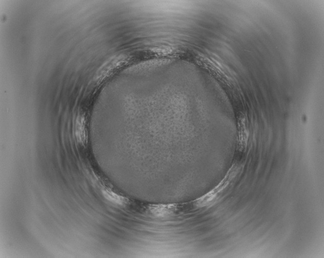 X0000087020136200704301324