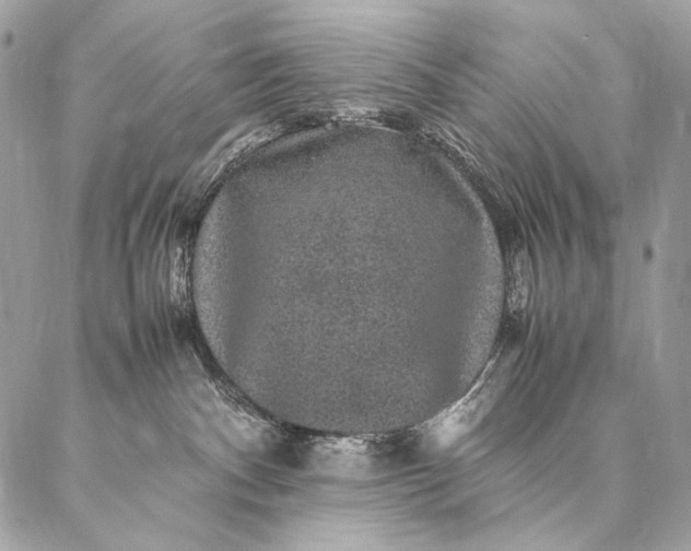 X0000087020140200704301324