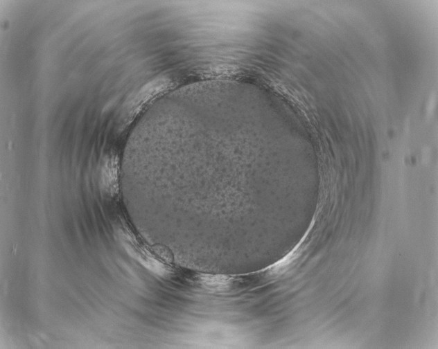 X0000087020144200704301323