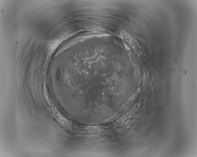 X0000087020145200704301323