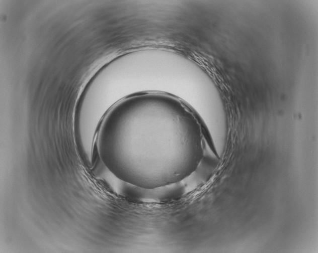 X0000087020148200704301323