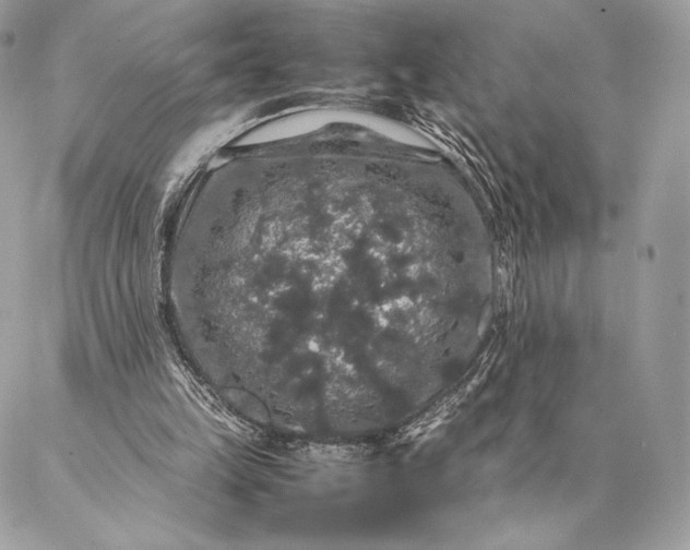 X0000087020149200704301323