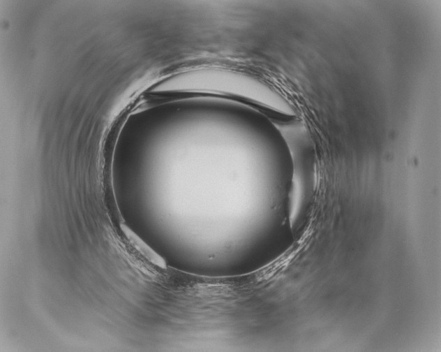 X0000087020150200704301323