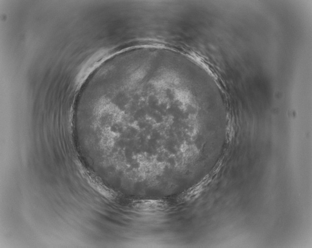 X0000087020151200704301323