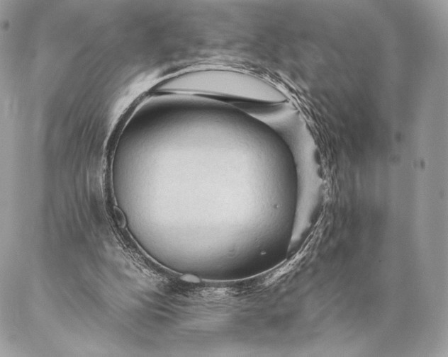 X0000087020152200704301323