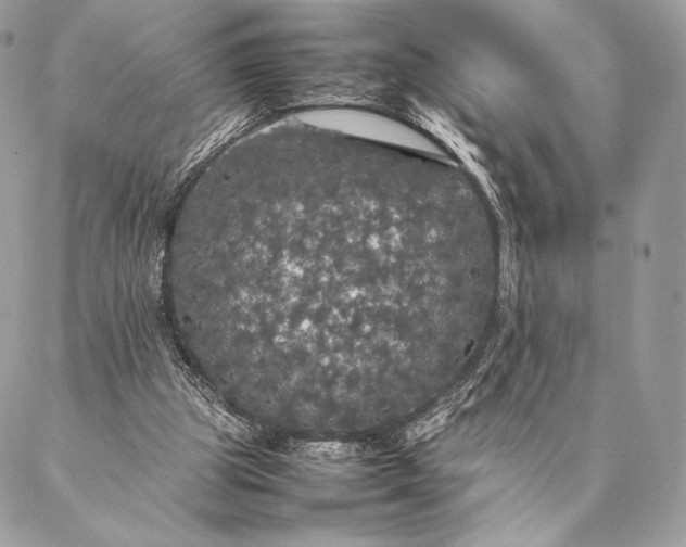 X0000087020153200704301323