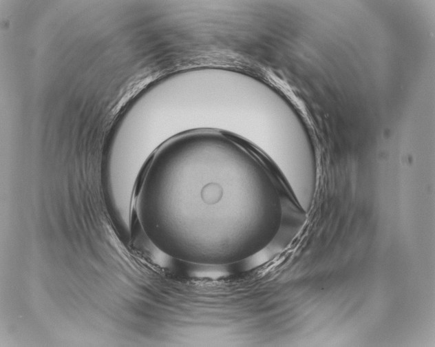 X0000087020154200704301323