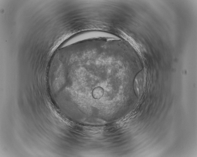 X0000087020155200704301323