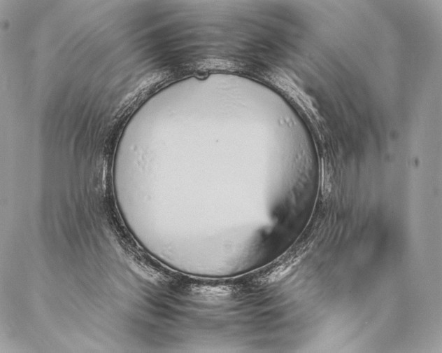 X0000087020157200704301323