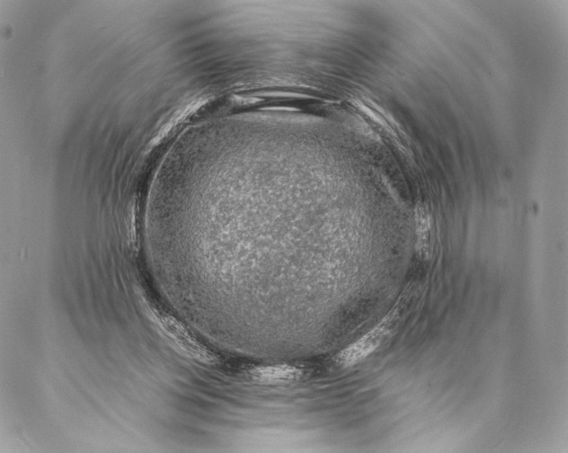 X0000087020158200704301323