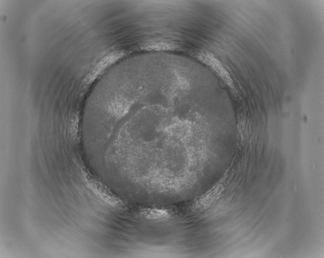 X0000087020159200704301323