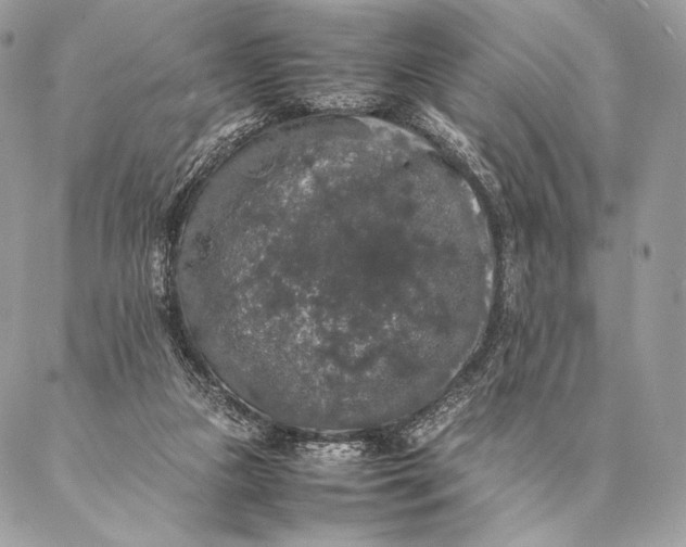 X0000087020161200704301323