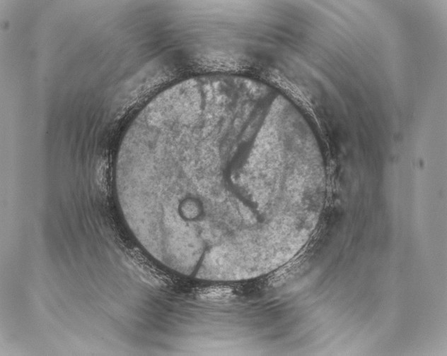 X0000087020162200704301323