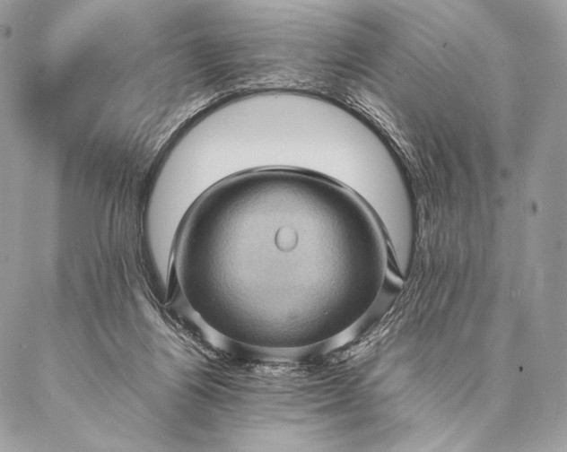 X0000087020164200704301323