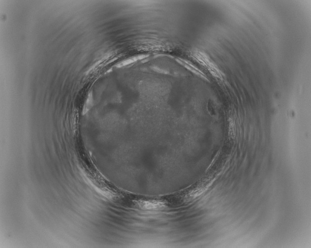 X0000087020165200704301323