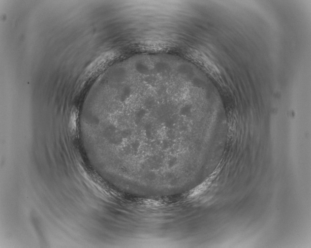 X0000087020166200704301323