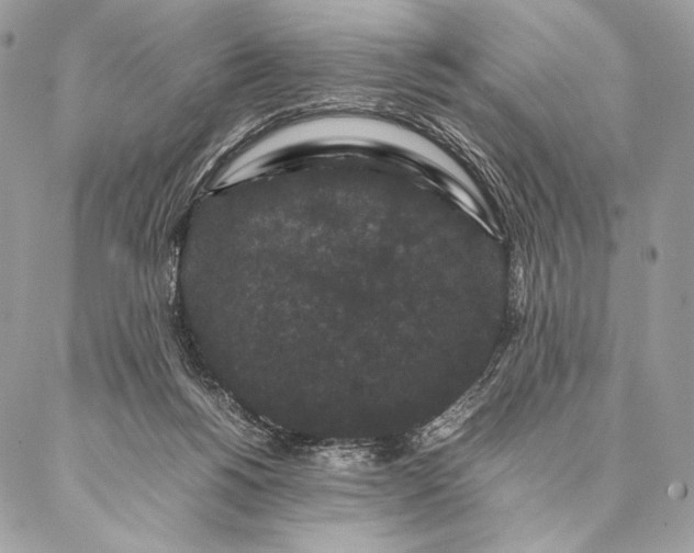 X0000087020168200704301323