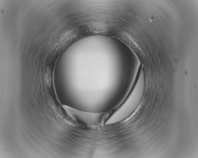 X0000087020170200704301323