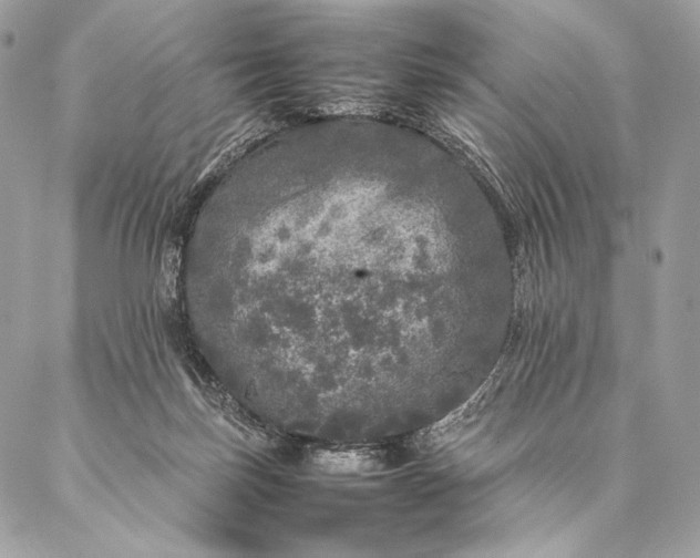 X0000087020171200704301323