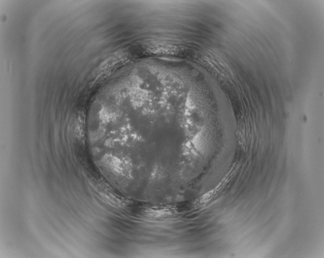 X0000087020175200704301323